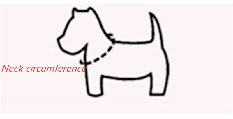 forma do coração do cão de estimação