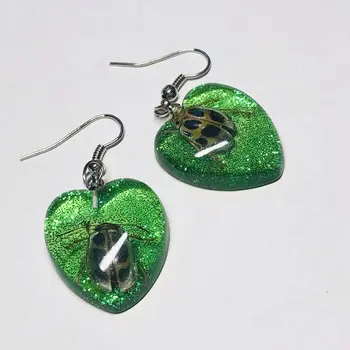 

12 Pcs vogue design heart style insect beetle cool earring