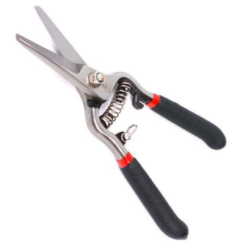Tijeras de floristería para hierbas, podadora de uvas con resorte curvado,  bloqueo de seguridad, multiusos, tijeras de jardín, 8 pulgadas|Tijeras| -  AliExpress