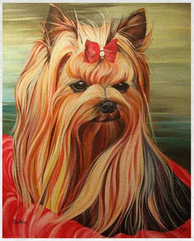 Животные алмазная вышивка YorkshireTerrier собака картина-головоломка картина наклейка