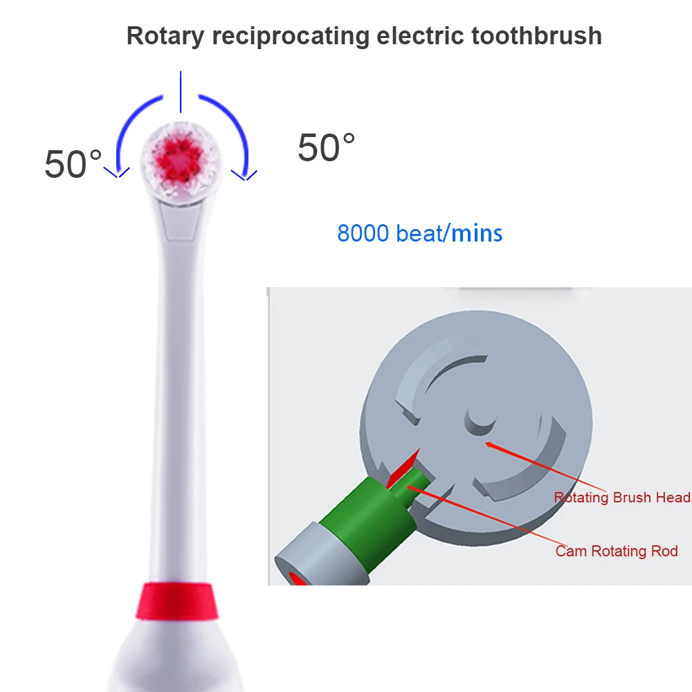  Rotation Battery Electric Toothbrush 4 pcs Replacement Soft Brush Head Revolving Teeth Electric Bru