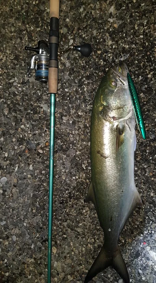 Hunthouse topwater морская вода leurre walk dog карандаш приманка 195 мм 44 г Длинные литые stickbait для bluefish приманки don belone