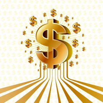 

payment link for special paying / fast shipping