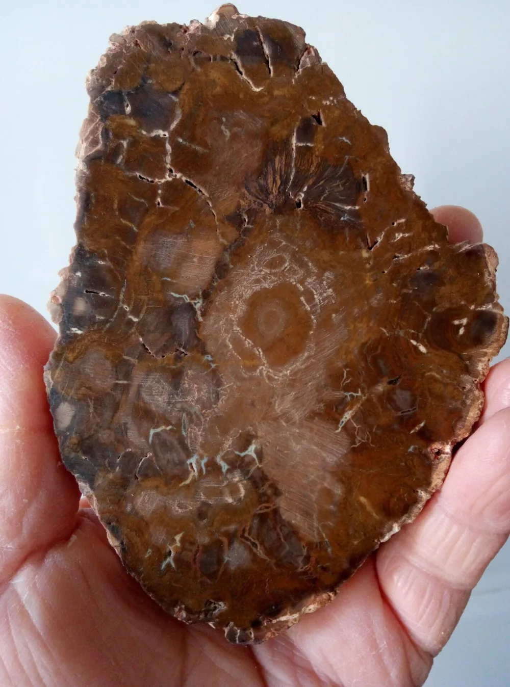 QQ图片20200218093406