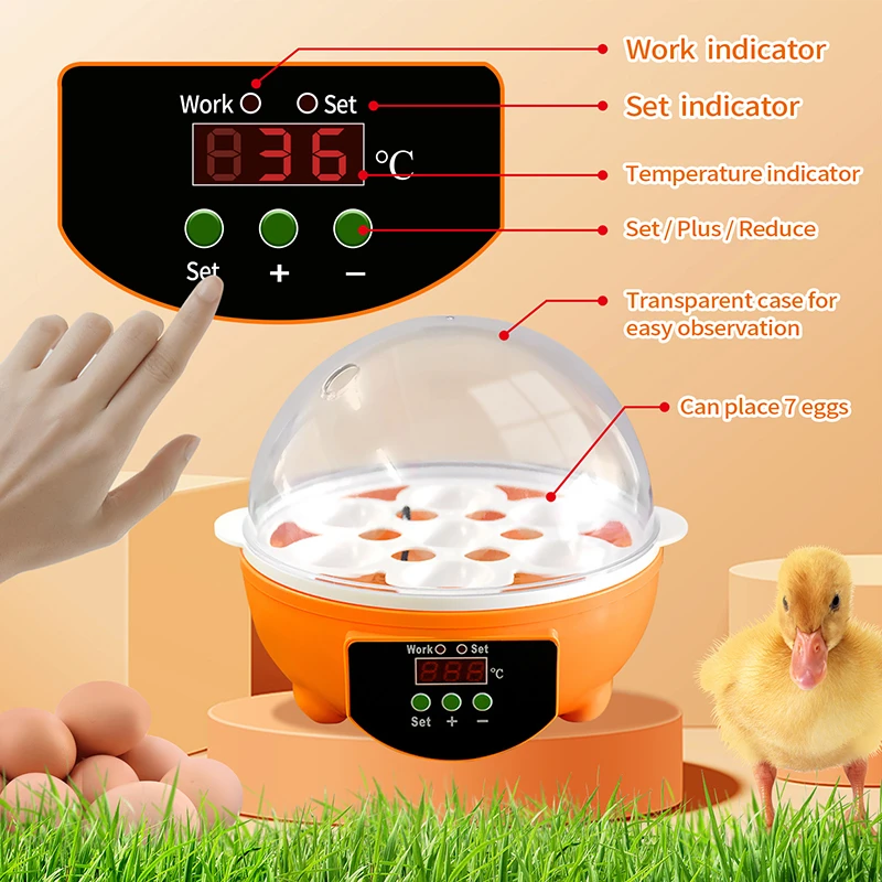 7 Huevos Mini Incubadora Manual De Pollos Y Aves De Corral 7 Huevos Mini Incubadora Manual De Pollos Y Aves De Corral