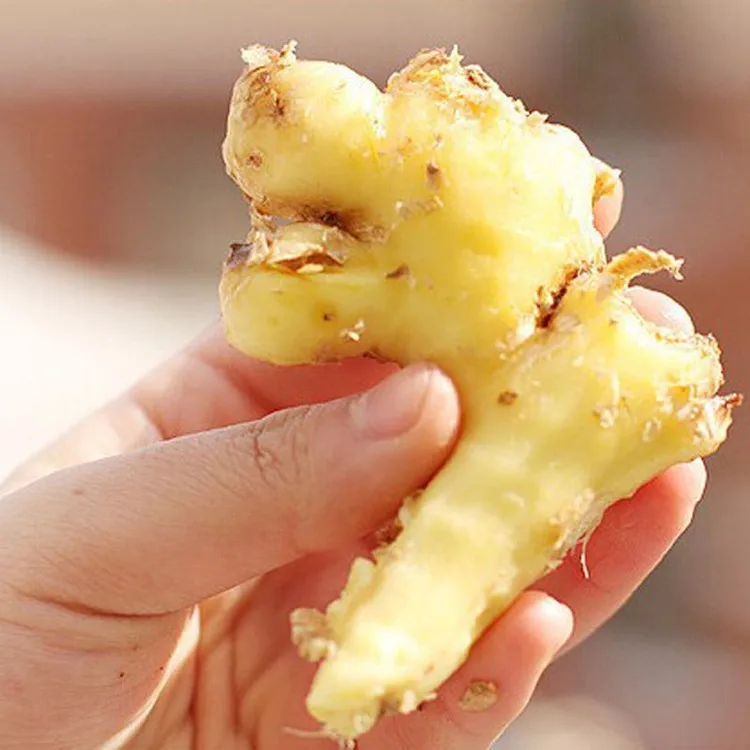 HTB1CuztKXXXXXafXFXXq6xXFXXX9