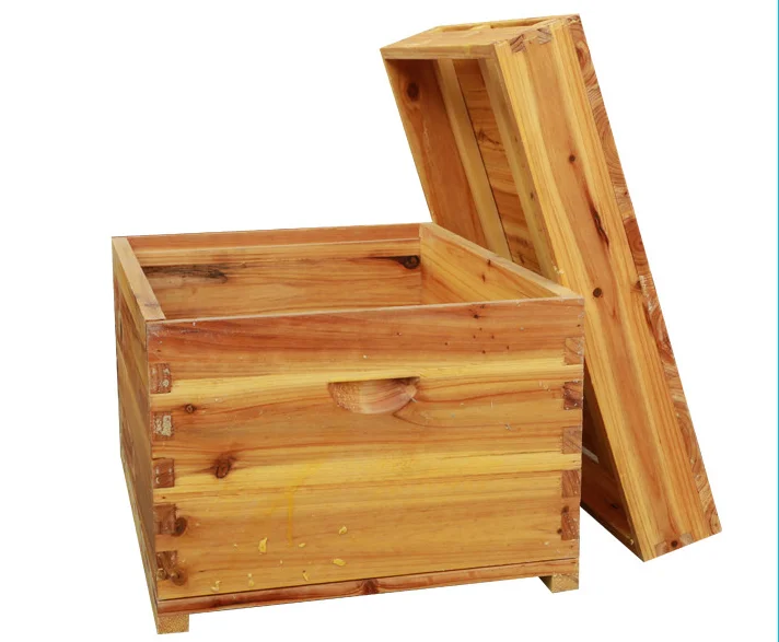 

A Full Set Of Standard Ten-frame Pine Bee In Bee-like Beehive Boiled Wax Soaked Bee Box Flat Box Beekeeping Tool