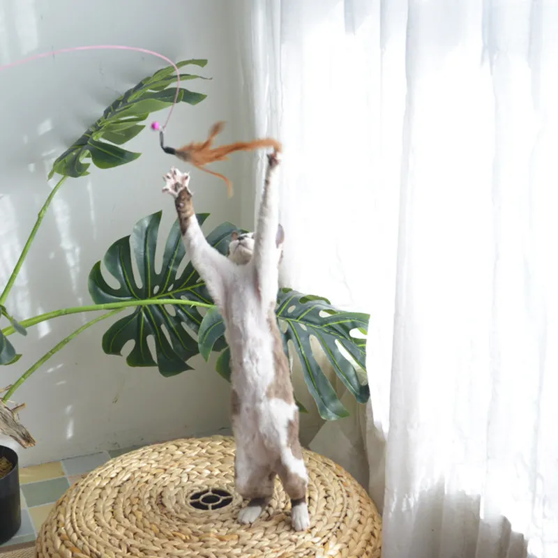 [MPK Store] перьевая кошачья игрушка, кошачья удочка для рыбной ловли, развлекает как кошек, так и кошек