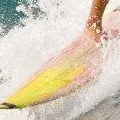 Surfboard accessories Store