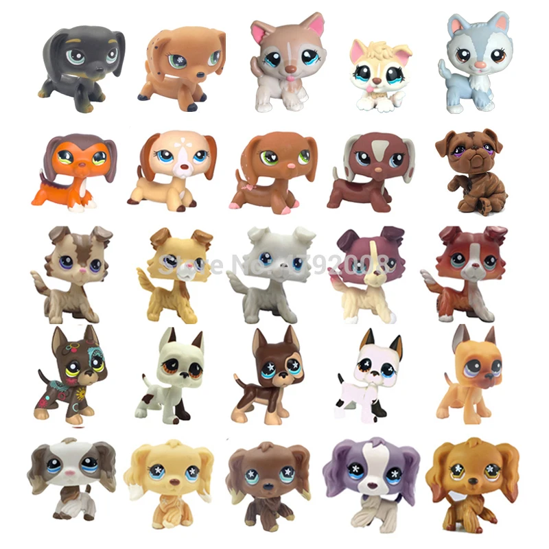 LPS agan-Jouets originaux pour animaux rares, stand pour animalerie, chien teckel, collie cocker, épagneul, grand danois, husky