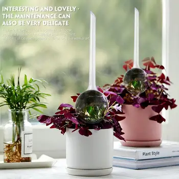 

Plastic Watering Device Gardening Tools Self-Watering System Watering Globes Equipment Flower Sprinklers 4pcs Plant Irrigation