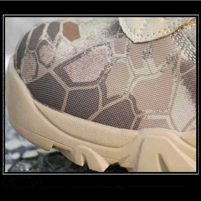 8006138404_654759885_副本