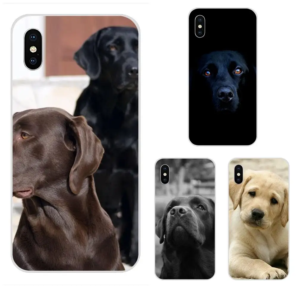 

Soft TPU New Style Funny Labrador Dog For Galaxy Alpha Note 10 Pro A10 A20 A20E A30 A40 A50 A60 A70 A80 A90 M10 M20 M30 M40