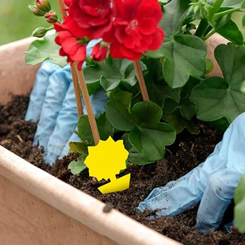 

12 PCS of Adhesive Traps for Flies and Fungi, for Interior and Exterior