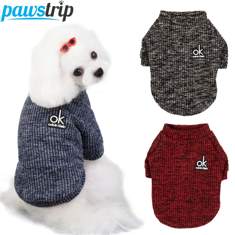 Do Shih Tzus Need Sweaters