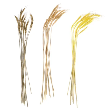

10Pcs/lot Real Wheat Ear Flower Natural Dried Flowers for Wedding Party Decoration DIY Craft Scrapbook Home Decor Wheat Bouquet