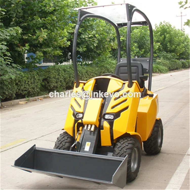 200 mini loader (53)