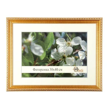 

Photo frame 30x40 cm "Section"