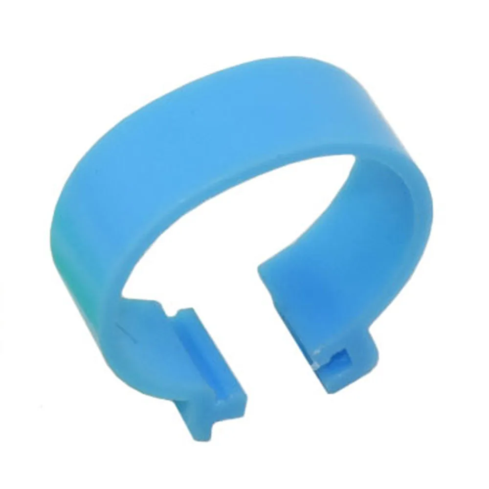 DSC_5462 - 副本 - 副本 - 副本