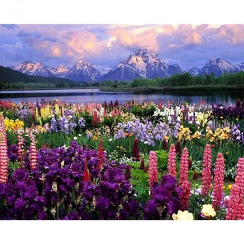 

Oil Painting By Numbers Flowers Sea On Canvas With Frame HandPainted For Drawing Paints Adults Color Picture Home Decoration Art