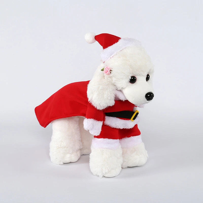 dogs in santa costumes