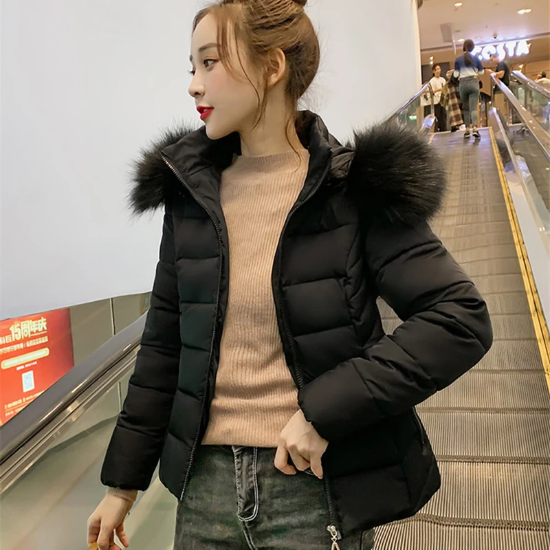 17958386181_802501495