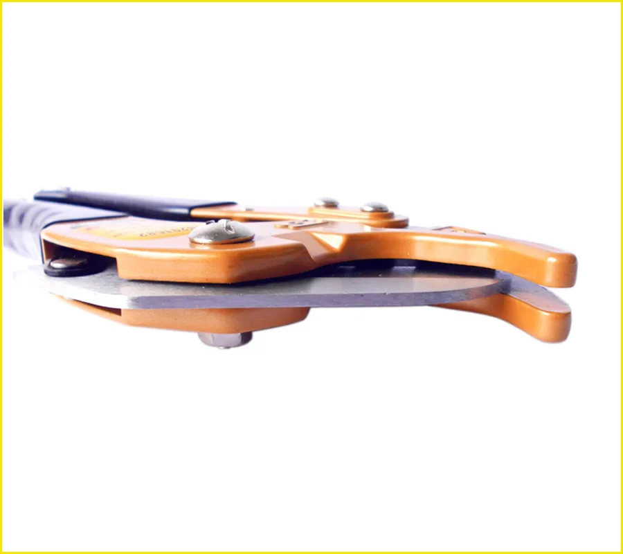 HTB1LbzQRNnaK1RjSZFBq6AW7VXaB