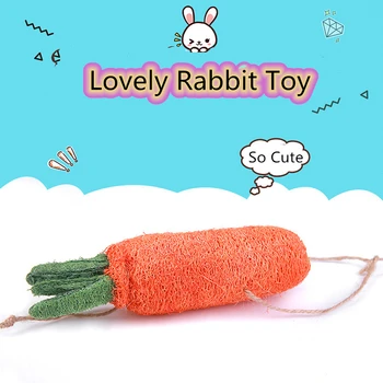 

Rabbit Chew Toy Natural Grass Carrot For Bunny Hamster Guinea Pig Chinchilla Toy Tooth Cleaning Radish Molar Toys Pet Supplies