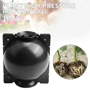 

1/5 black and white plant rooting ball grafted rooting growth box breeding box plant rooting device high pressure propagation ba