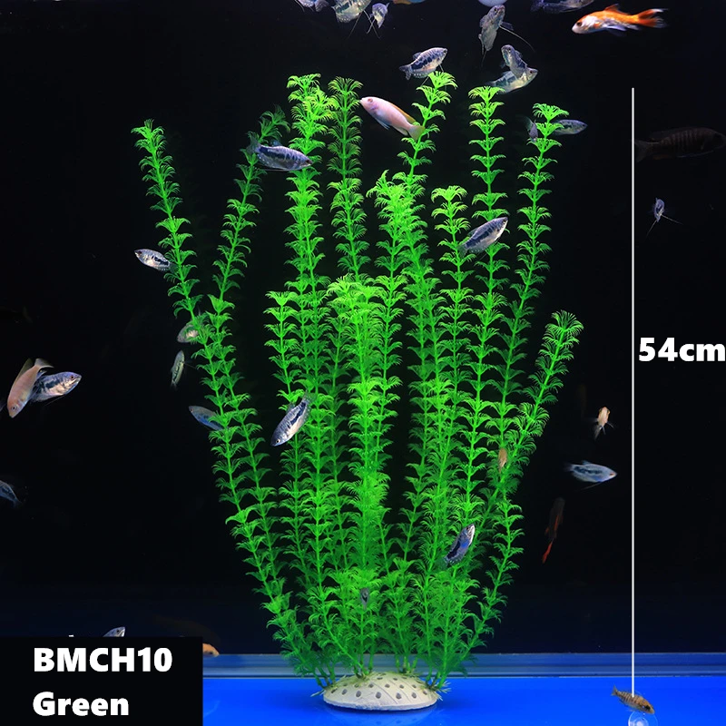 BMCH0267 (8)