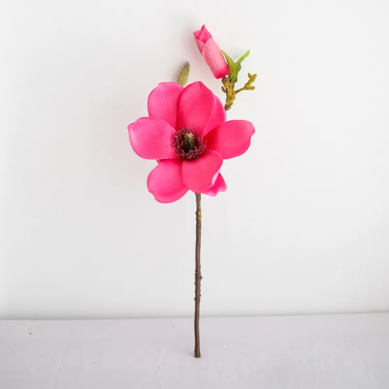 11992673946_761514792