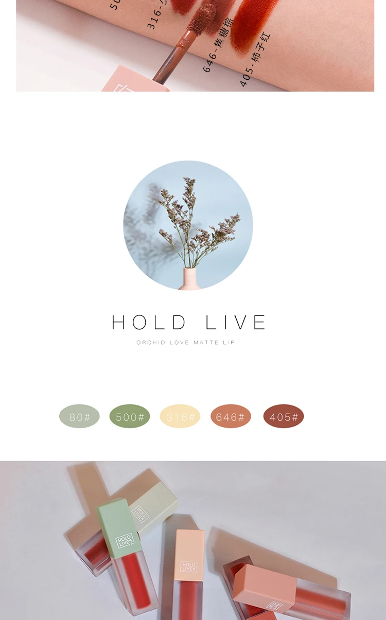 HOLD LIVE 5 шт. жидкий набор из помад долговечные водонепроницаемые бархатные матовые губы глянцевые наборы 5 цветов сексуальные красные губы корейский макияж наборы