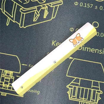 

Keyboard Spacebar Sublimation Craft OEM Profile 6.25U PBT Space Keycaps for Cherry MX Switches Colorful key cap Space