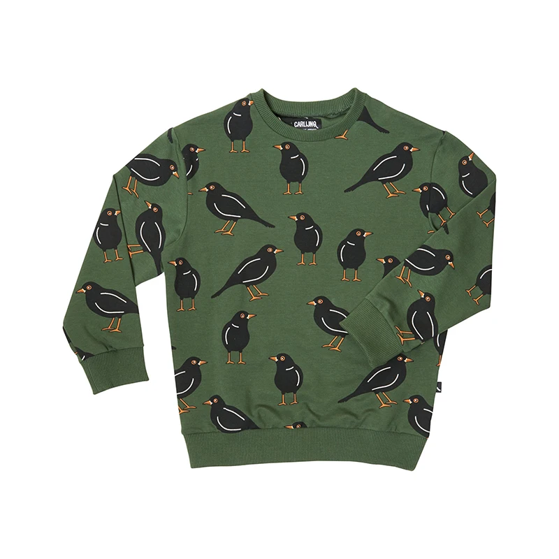 green Bird tops CarlijnQ/Фирменный Детский свитер и штаны; Модные топы для маленьких мальчиков с изображением птиц и деревьев; осенне-зимние топы для девочек; зимняя одежда для малышей - Цвет: green Bird tops