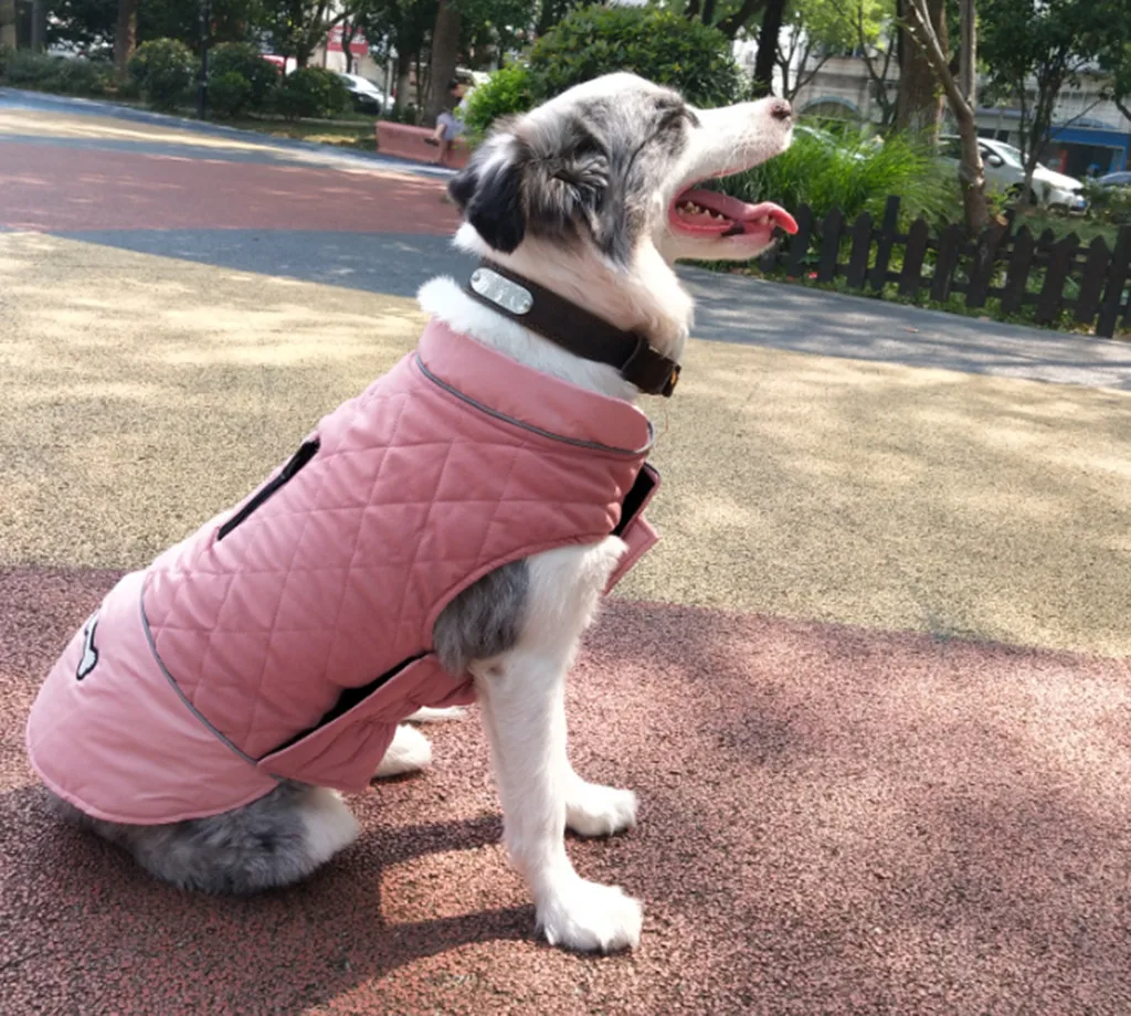 Собачий Щенячий жилет, куртка, ветрозащитная одежда, теплая зимняя одежда для собак, водонепроницаемая куртка для маленьких, средних и больших собак, XS-3XL