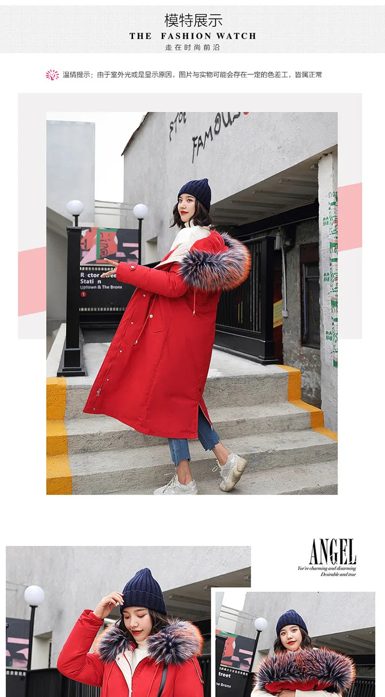 Large Fur Collar down Jacket Cotton-padded Clothes Women's Korean-style Winter New Style Color Large Fur Collar Mid-length