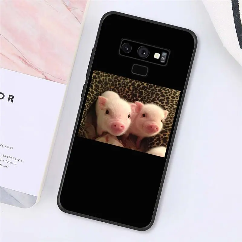 Cute Little Pink Pet Pig