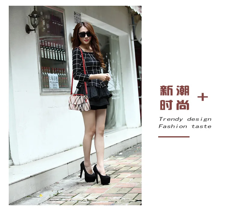 FERAL CAT 2017 Luxury Handbags Women Shoulder Bags Designer Ladies Hand Bags Leather Messenger Bag7