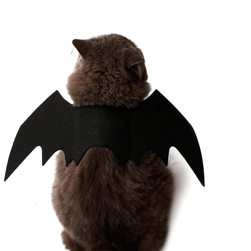 Toothless Cat Cosplay Costume How to Train Your Dragon Cat Costume