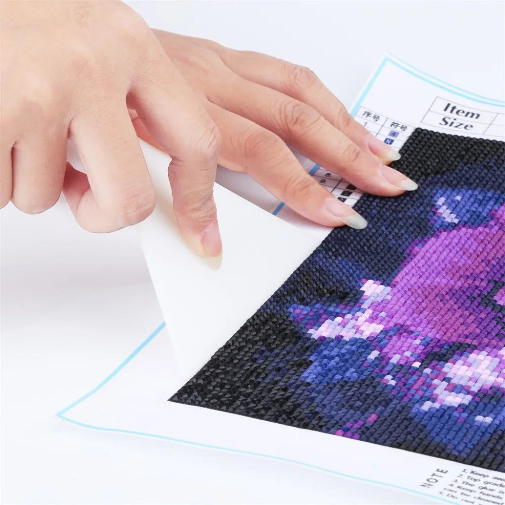 17024403016_841639479