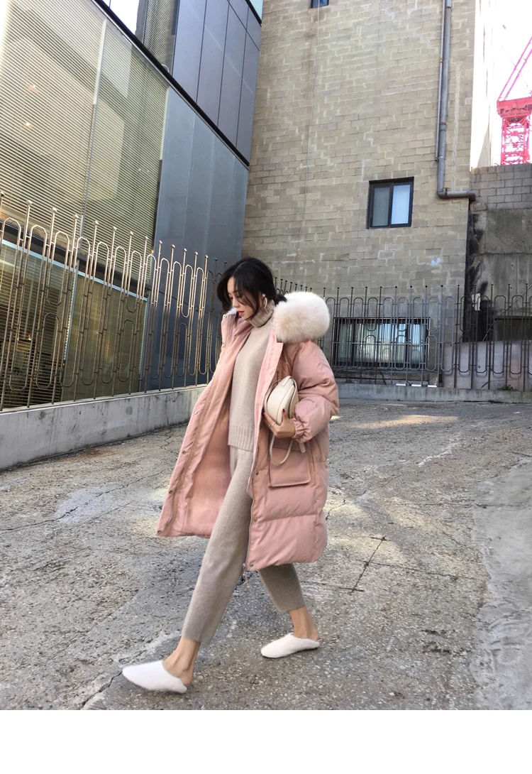 1545568970018_309870 (1)