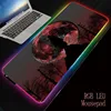 Computer Peripherals
