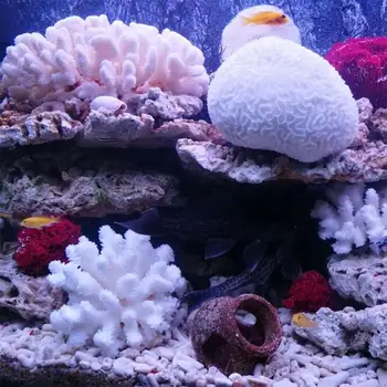 

Natural White Coral Aquarium Decoration Sea shell Reef Flower Home Fish Tank Ornaments