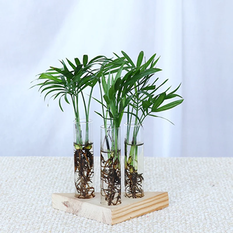 Flower vase glass tubes clear glass flower pot with wooden stand for hydroponic plants test tubes container home table decor