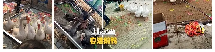 Дети Ringtoss бросать Круг Открытый родитель и ребенок стойло бросать круг детский сад метание игрушки большой круг