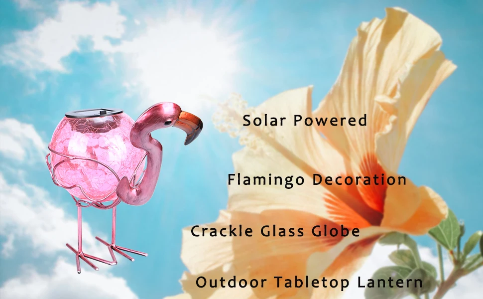 1f757899-dfdb-42fc-90b0-75ca797793a1.__CR0,0,970,600_PT0_SX970_V1___