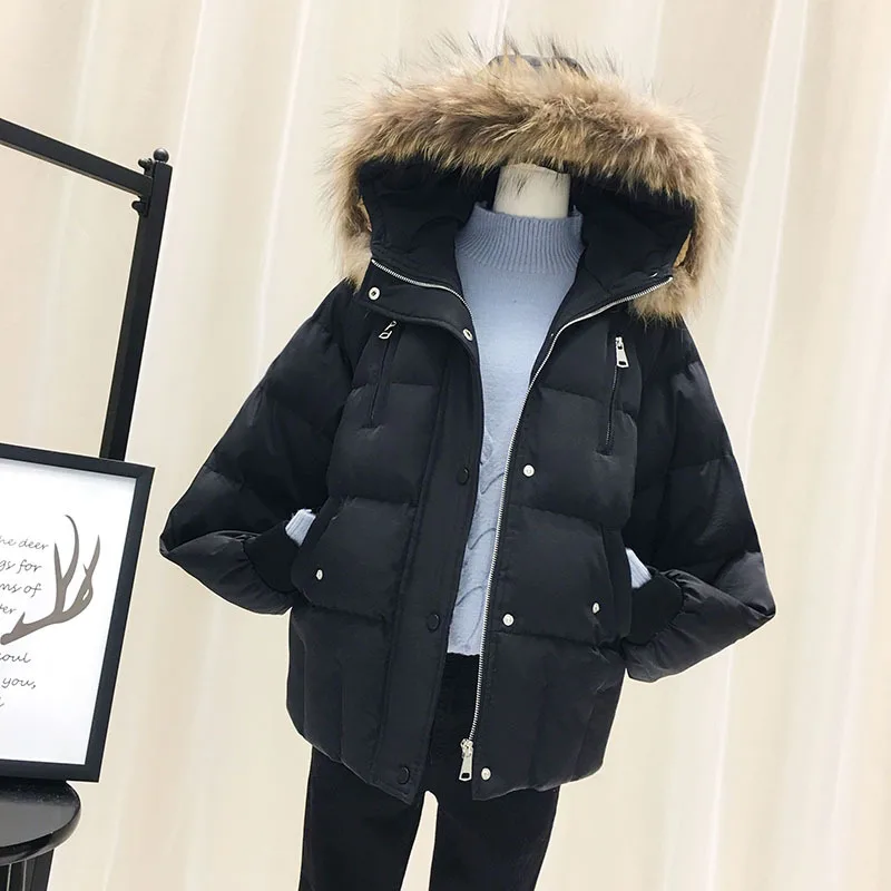 

Cotton-padded Clothes Women's 2018 New Style down Coat Women's Short INS Loose-Fit Cotton-padded Jacket Large Fur Collar Coat Wi