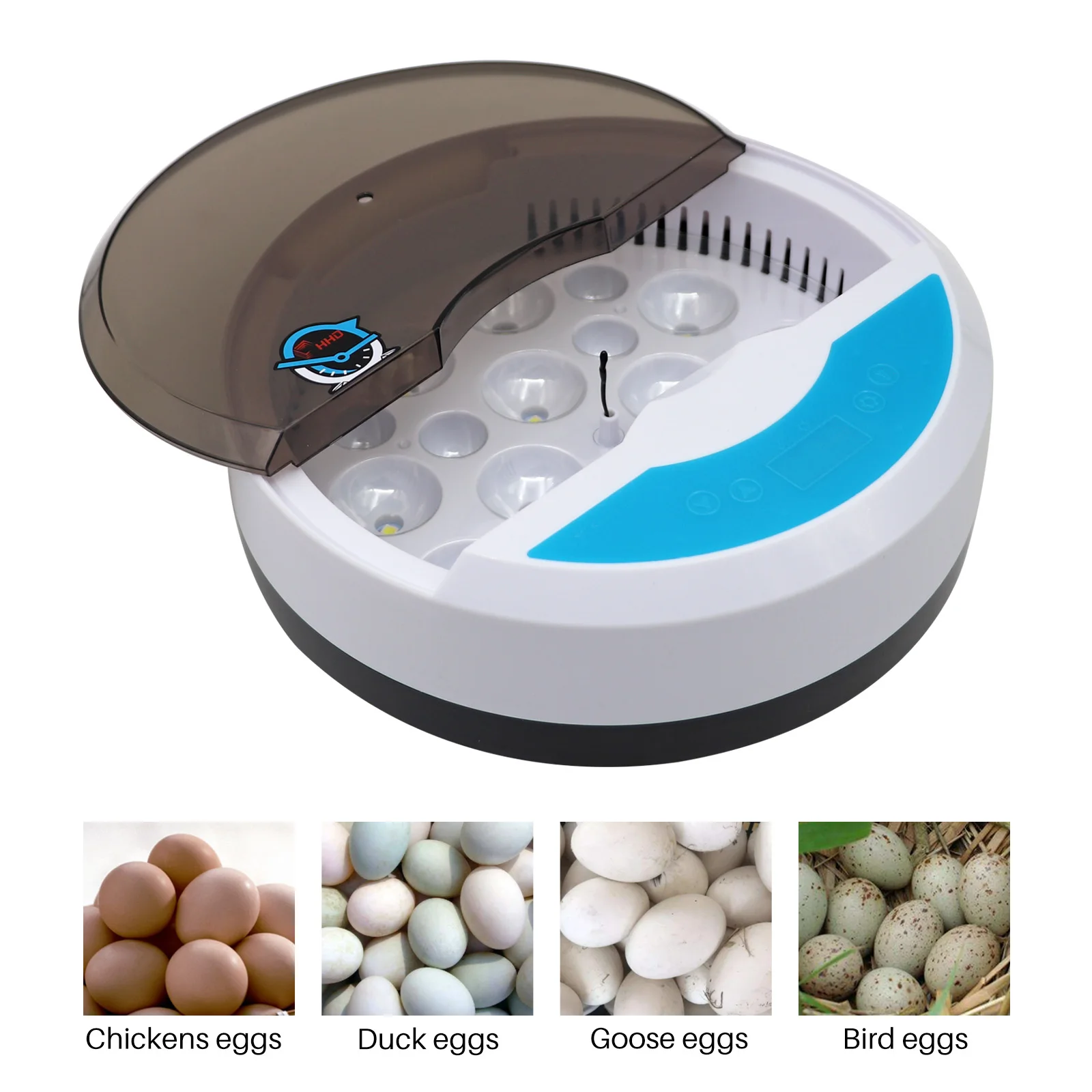 Online store Authentic Merchandise Hethya Pro16 Eggs incubators for