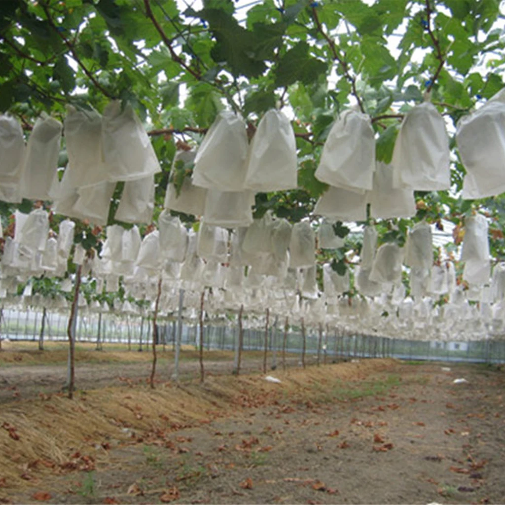 Yardwe Lot De 100 Sacs De Protection En Aille Pour Fruits Et Fraises Et Plantes De Pépinière