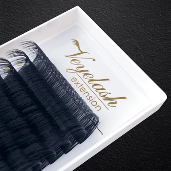 

High Quality 25mm Handmade Eyelash Extension Korea PBT Individual Eyelashes Russian Volume Private Label Lashes Make Up Tools